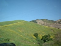 Highlight for Album: Springtime in California and don't you wish you were here?