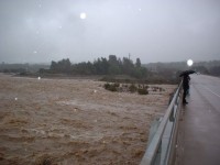 Highlight for Album: Ventura River in flood